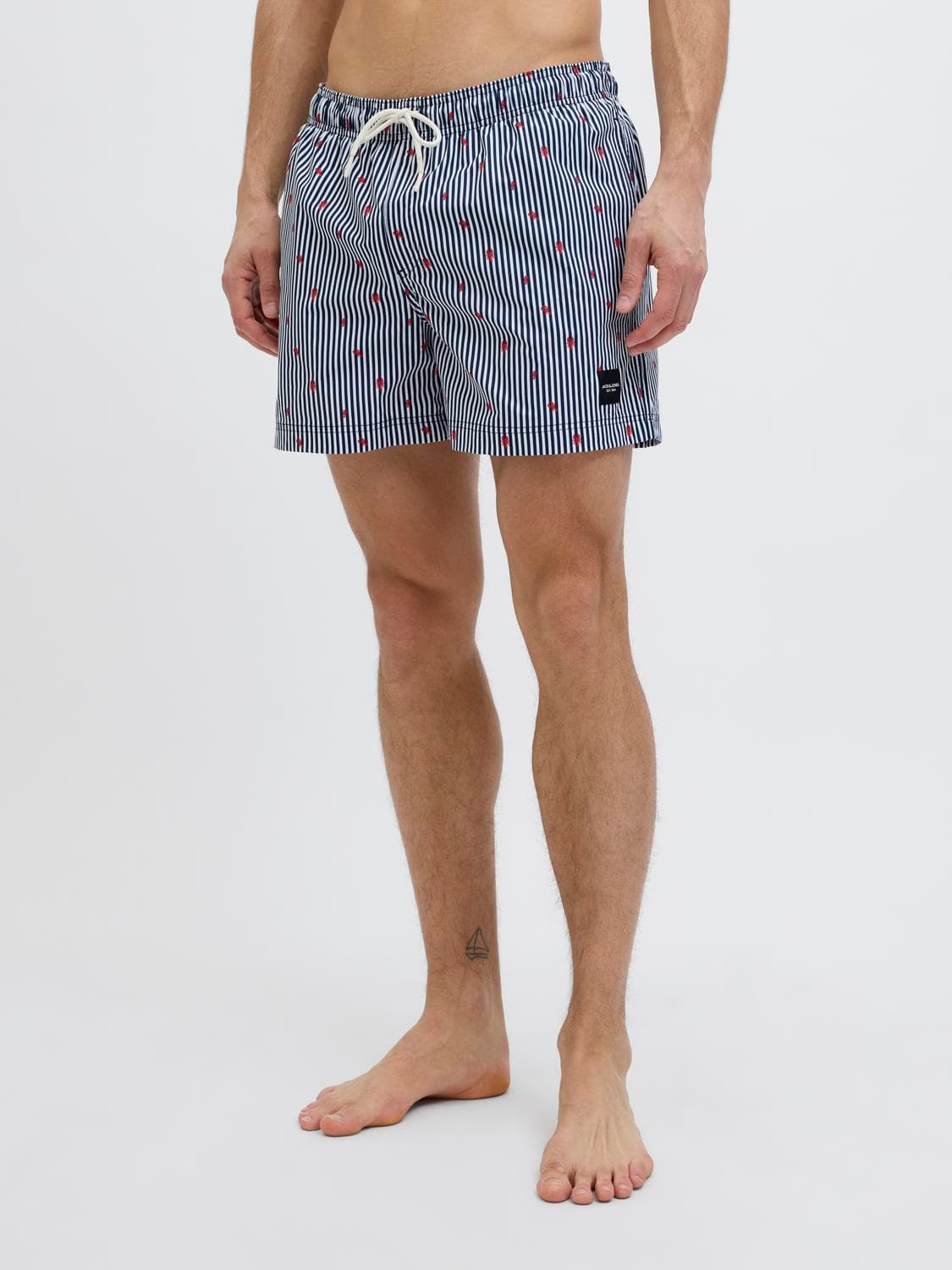 Jpstmaui Jjswim Mini Stripe Akm Sn - Jack & Jones