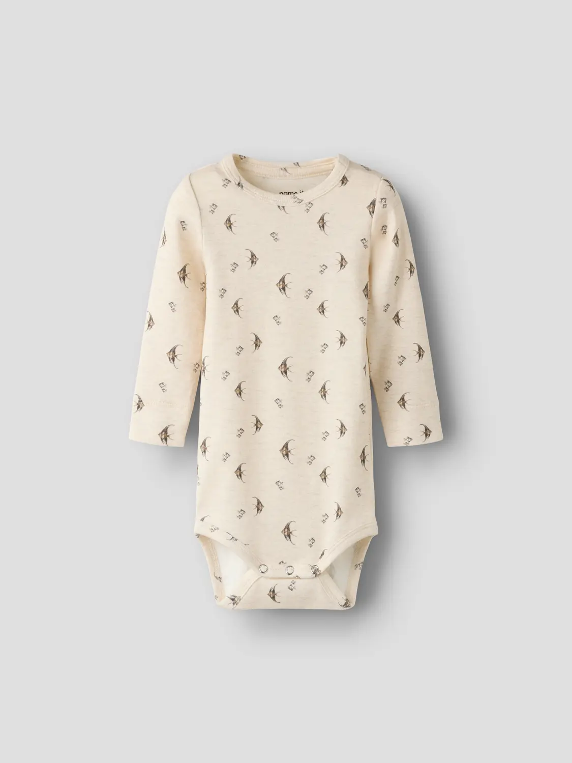 Nbmfisher Ls Xsl Body - name it