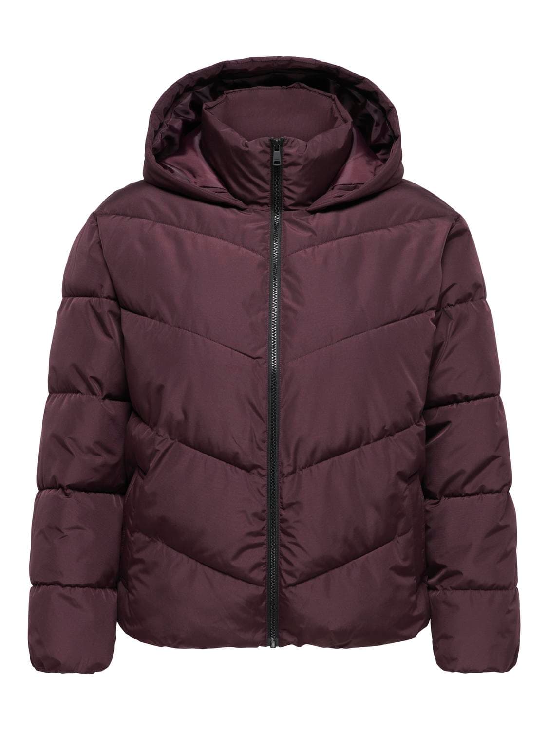 Carclair Short Puffer Otw - ONLY