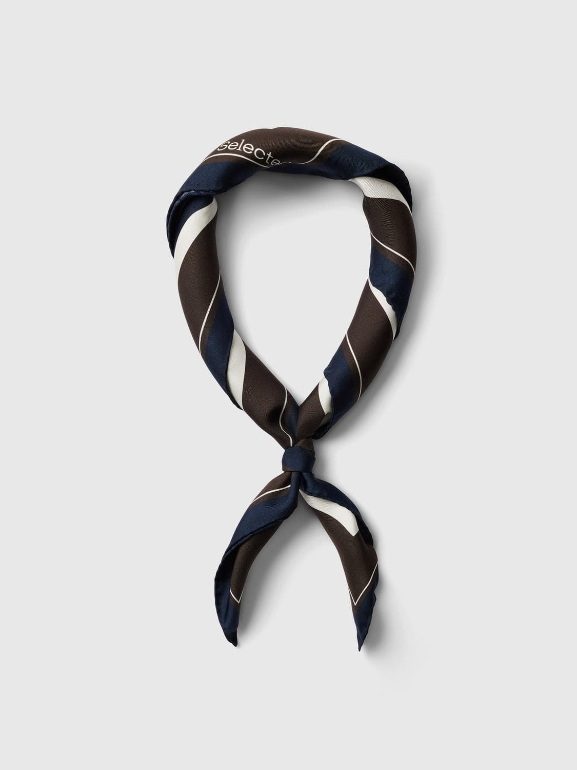 Slwsara Silk Scarf - Selected